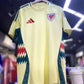 2024 Adidas 威爾士客場球迷版球衣